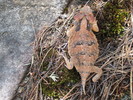 photo thumbnail #9