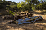 photo thumbnail #5