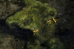 photo thumbnail #12