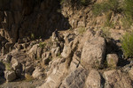 photo thumbnail #13