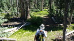 photo thumbnail #1
