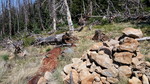 photo thumbnail #9
