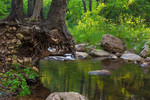 photo thumbnail #2