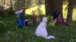 photo thumbnail #5