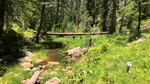 photo thumbnail #3