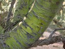 photo thumbnail #12