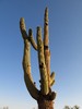 photo thumbnail #13