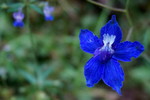 photo thumbnail #9