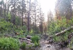 photo thumbnail #2