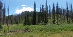 photo thumbnail #5