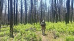 photo thumbnail #7