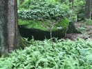 photo thumbnail #7