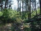 photo thumbnail #6