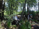 photo thumbnail #8