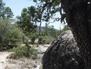 photo thumbnail #12