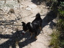 photo thumbnail #13