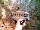 photo thumbnail #9