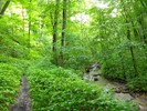 photo thumbnail #10