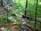 photo thumbnail #15