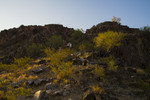 photo thumbnail #6