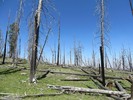 photo thumbnail #3