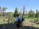 photo thumbnail #6
