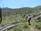 photo thumbnail #8