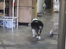 photo thumbnail #10