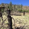 photo thumbnail #5