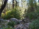 photo thumbnail #4