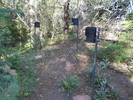 photo thumbnail #5