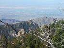 photo thumbnail #5