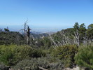 photo thumbnail #6