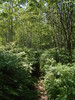 photo thumbnail #9