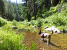 photo thumbnail #2