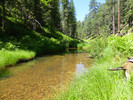 photo thumbnail #4
