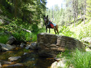 photo thumbnail #5