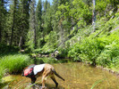 photo thumbnail #7