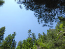 photo thumbnail #12