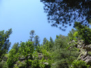 photo thumbnail #13
