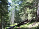 photo thumbnail #2