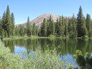photo thumbnail #3