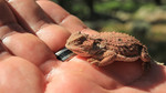 photo thumbnail #3
