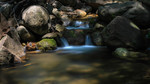 photo thumbnail #11