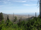 photo thumbnail #3