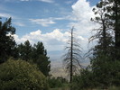 photo thumbnail #6