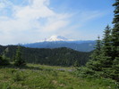 2015-06-27 :2: Noble Knob :: sagamihara_hiker
