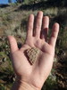 photo thumbnail #7