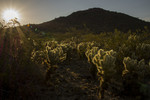 photo thumbnail #6