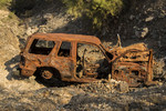 photo thumbnail #8